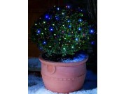 Premier Solar Twilites LED Solar Lights Multi-Coloured/Multi-Action x 100